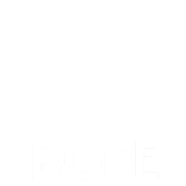 Homepage der BGnE